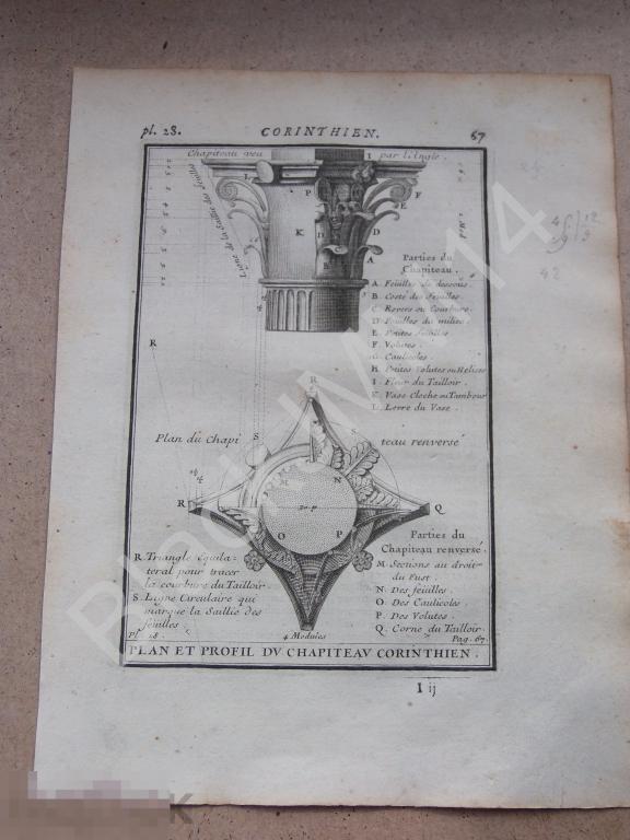 1720 г. Гравюра Архитектура Джакомо да Виньоле  Коринфский ордер Колонны Капитель