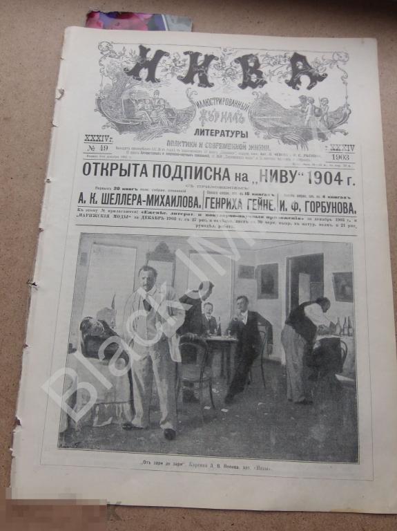 1903 г. Журнал Нива №49 200 лет Артиллерийский исторический музей Девочка Собачки