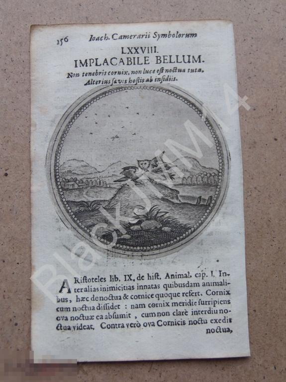 1677 Гравюра медь Камерарий Символы Латынь Изречение Непремиримая война Сова Орел