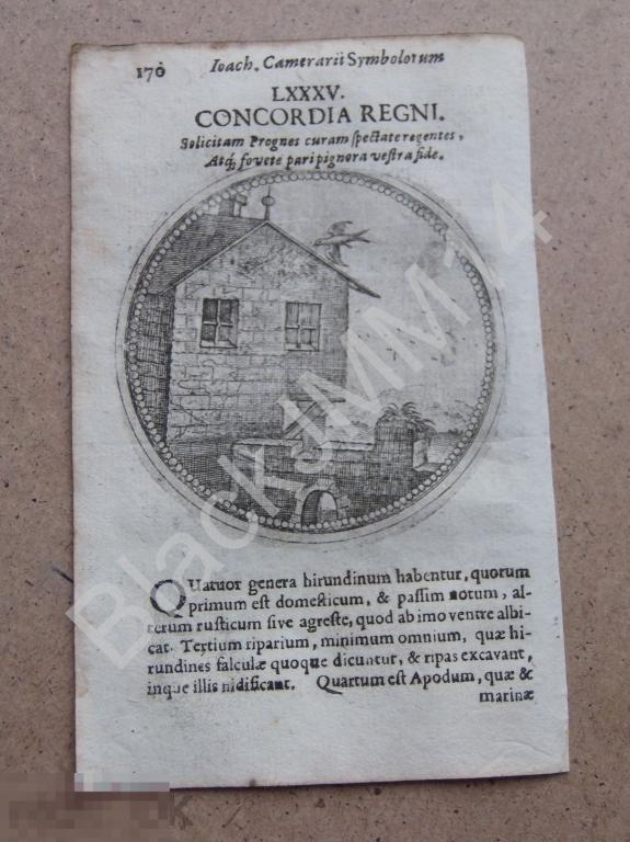 1677 Гравюра медь Камерарий Символы Латынь Изречение Гармония королевства Птица Дом