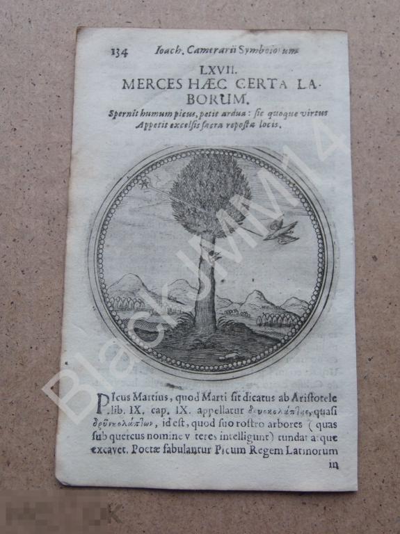 1677 Гравюра медь Камерарий Символы Эмблемы Латынь Изречение Оплата за труды Дерево Птица