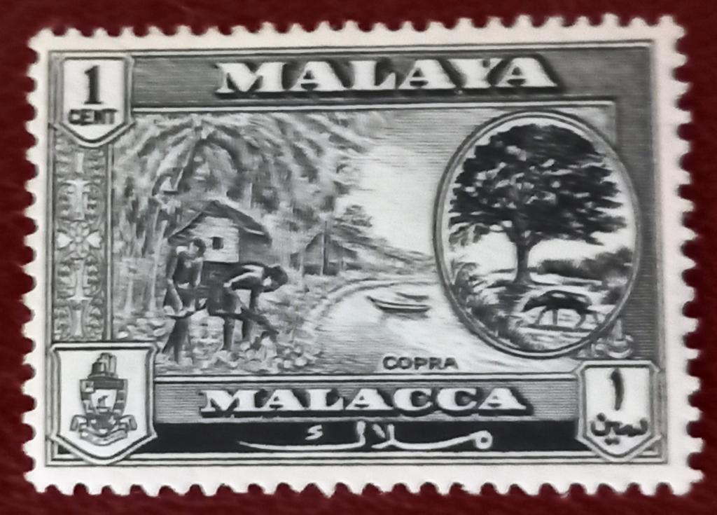 Малайя Британская Колония Штат Малакка 1960 год Сбор Копры Местные мотивы Чист+