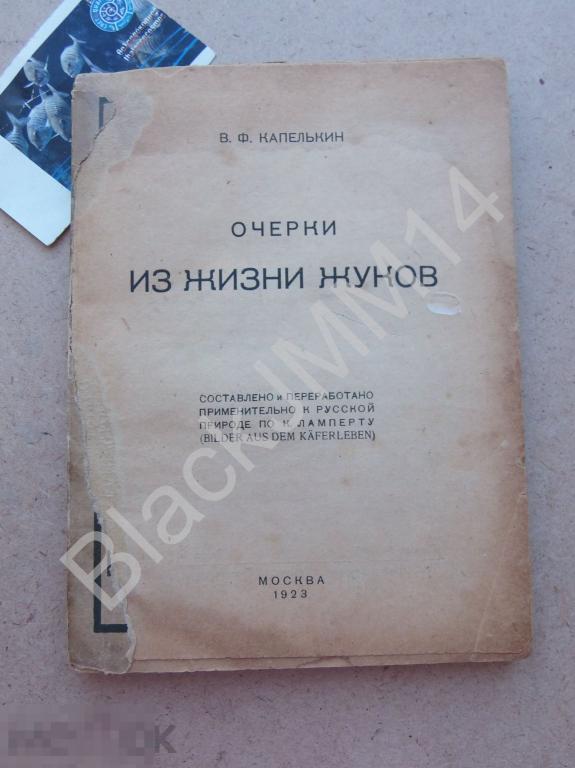1923 г. В. Капелькин Очерки из жизни жуков