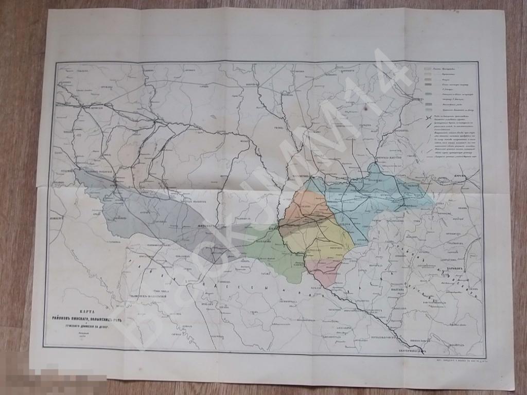 1870 г. Карта районов Пинского, Волынских рек Брест Бобруйск Мозырь