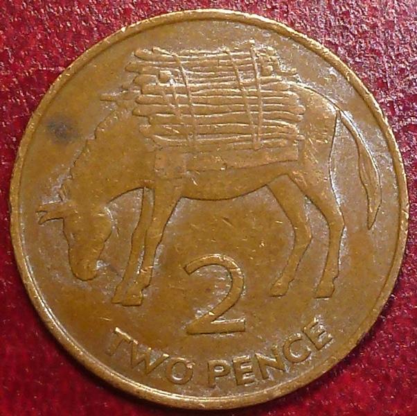 Святой Елены и Вознесения острова 2 пенса 1984 года.