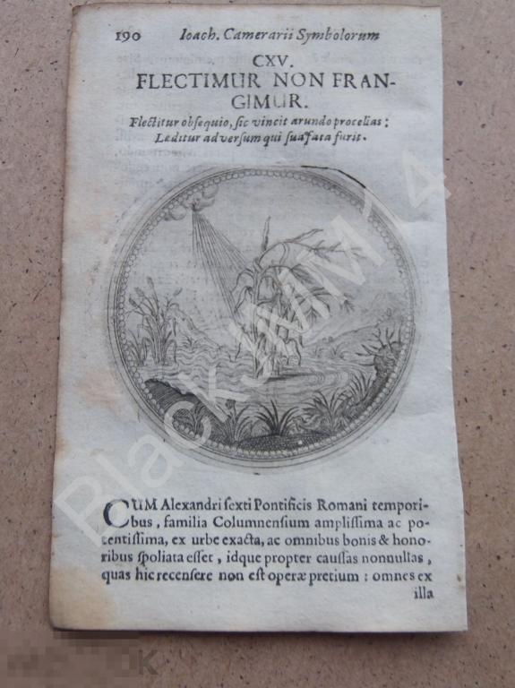 1677 Гравюра медь Камерарий Символы Эмбемы Латынь Изречение Мы согнуты но не сломлены