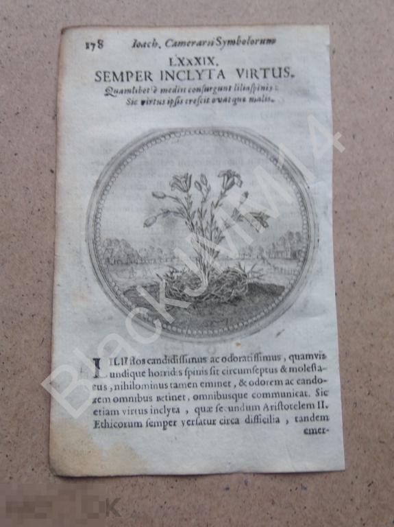 1677 Гравюра медь Камерарий Символы Латынь Изречение Добродетель всегда остается благородной