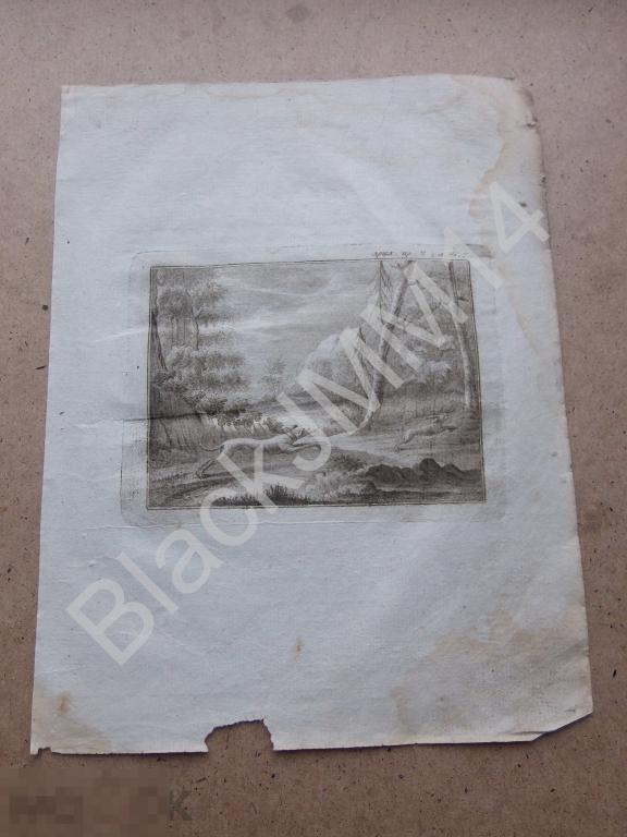 1786 г. Гравюра на меди Офорт Россия Российская Империя Заяц Охота Собаки