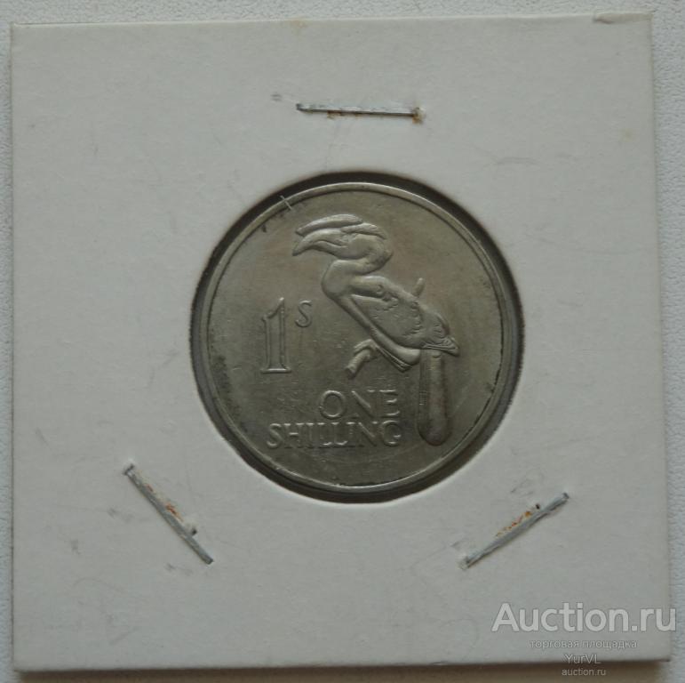 Замбия 1 шиллинг 1964 года. Венценосный токо.