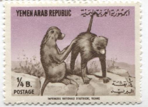 1964 Йемен Звери Обезъяны 1м .**