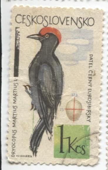 1964 Чехословакия Птицы.Дятел 1м .гаш