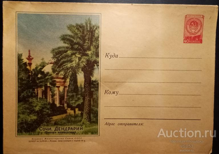 СССР 1955 г. ХМК № 095. Сочи. Дендрарий. Финик Канарский. (бум. 02).