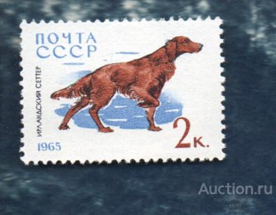 СССР 1965 Служебные и охотничьи собаки СЕТТЕР  (А) ** чист