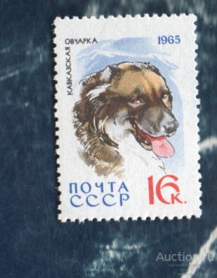 СССР 1965 Служебные и охотничьи собаки ОВЧАРКА  (А) ** чист