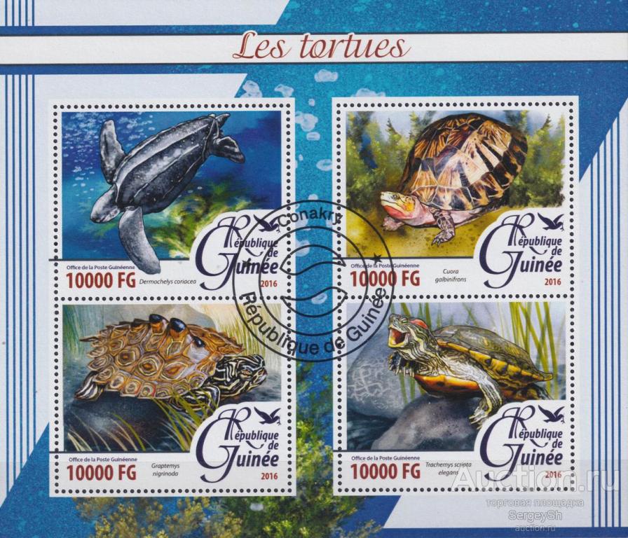 gn2016-19 Гвинея 2016г. Черепахи Черепахи MNH