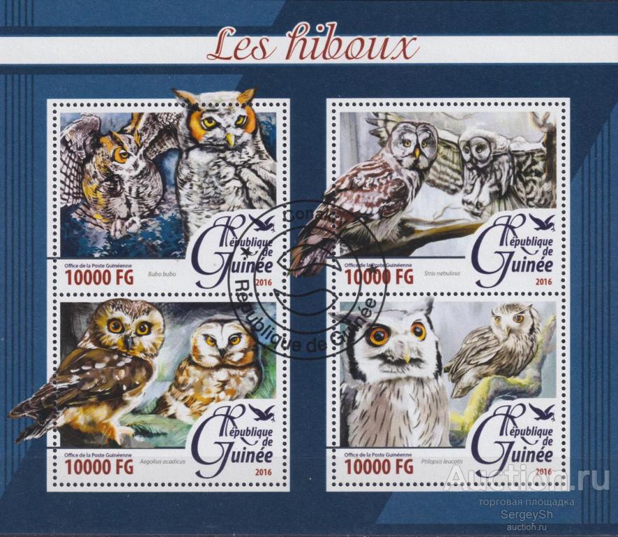 gn2016-18 Гвинея 2016г. Совы Совы, Птицы MNH