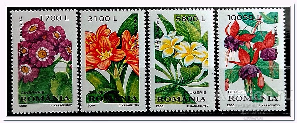 Румыния 2000 год № 5478/81 " Декоративные растения " MNH**