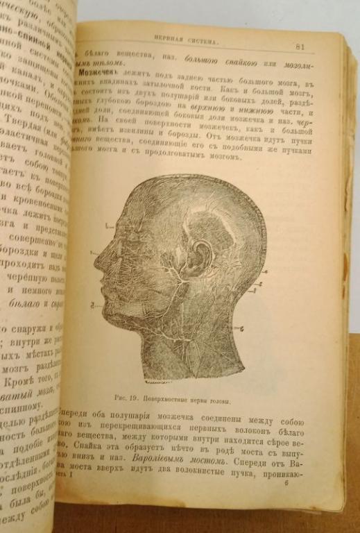 Школа здоровья Лечебник 1898 г. (031728)