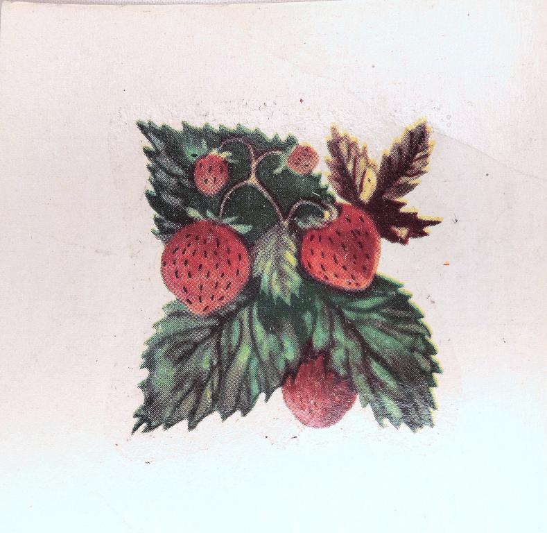 Переводная Сдвижная картинка   ЯГОДЫ   1988 г.  ВИНТАЖ СССР   ( 3 )