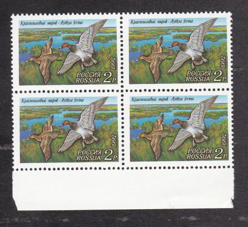 Россия 1992 Фауна Утки (4860)