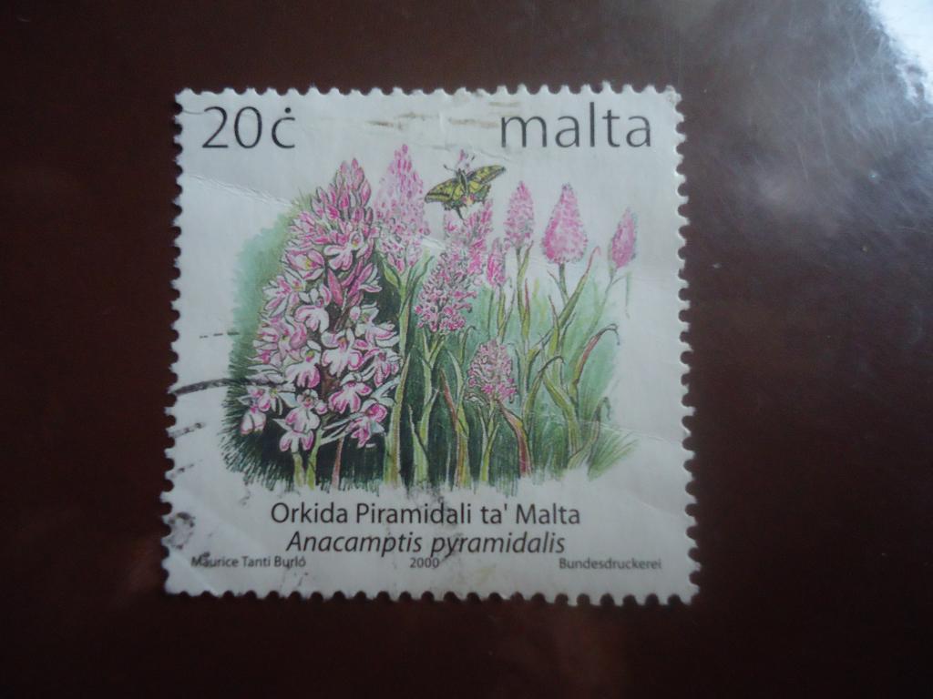2000 г.  Мальта  гаш. без клея.