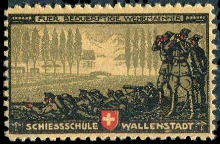 Швейцария 1917 ПМВ военная полевая почта Wallenstadt Валленштадт стрелковая школа * MH (Sulser # 5)