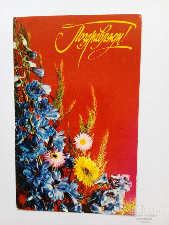 Открытка. Столяров. Поздравляем! Цветы 1976