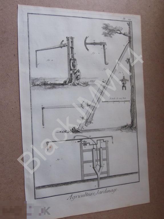 1763 г. Гравюра на меди Дени Дидро Садоводство Сады Парки Планировка Стрижка