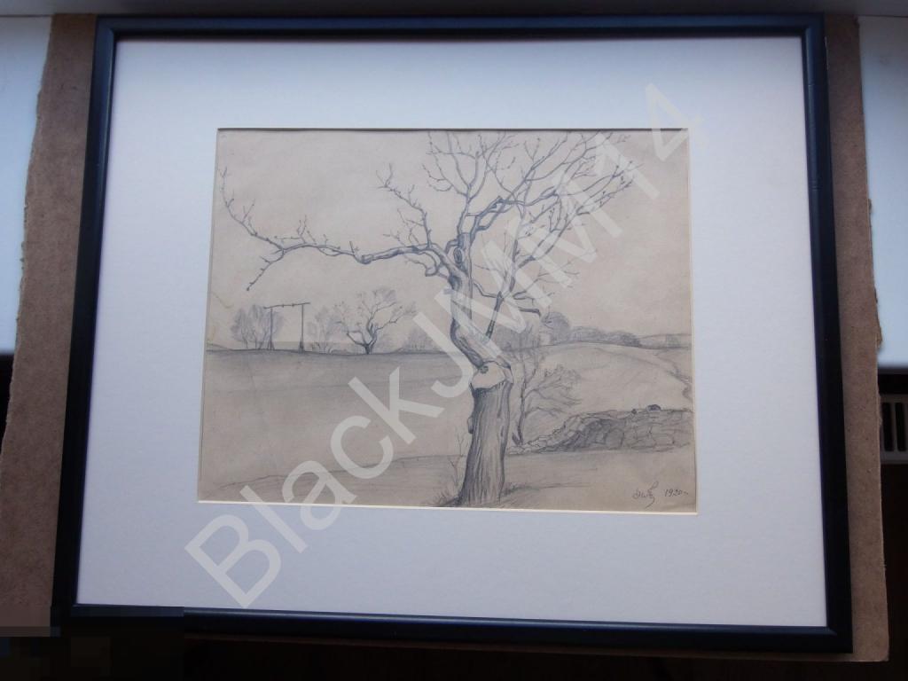 1920 г. Хрустачев Николай Иванович (1883–1961). Бумага, графитный карандаш «Крым. Старое дерево»