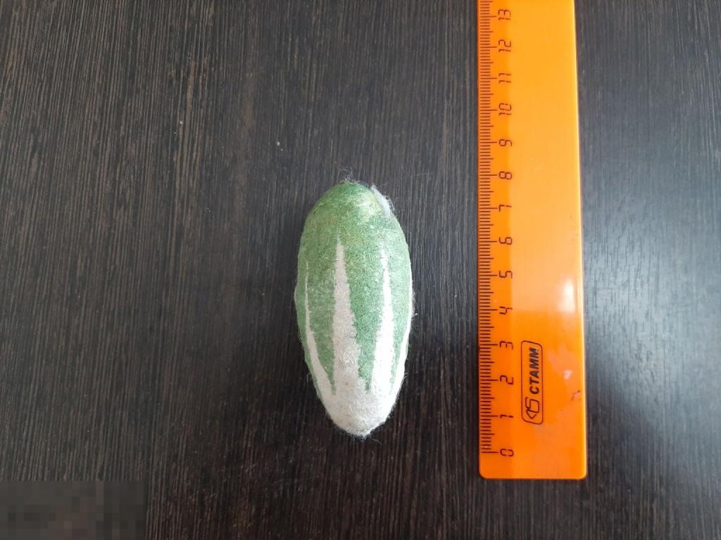 Елочная игрушка Огурец (84)