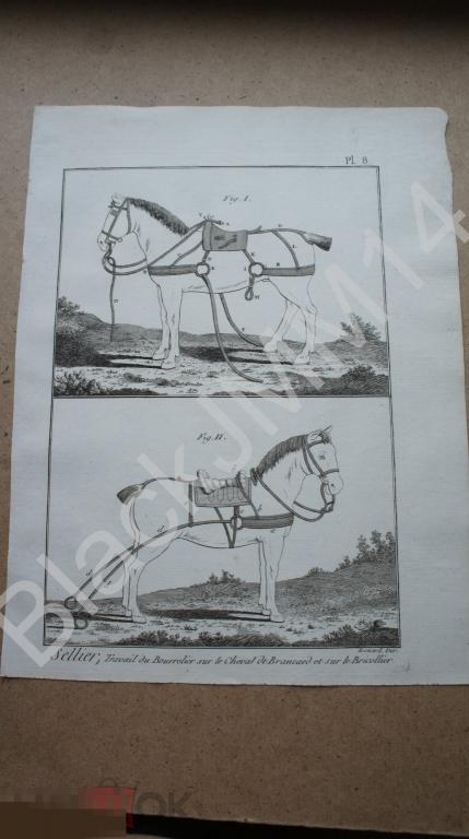 1790 г. Гравюра на меди Шарль Панкук Шорник Упряжь Сбруя Седло Лошадь