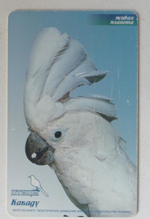 Телефонная карта Башинформсвязь Уфа Фауна Живая планета Птицы Какаду 60 е