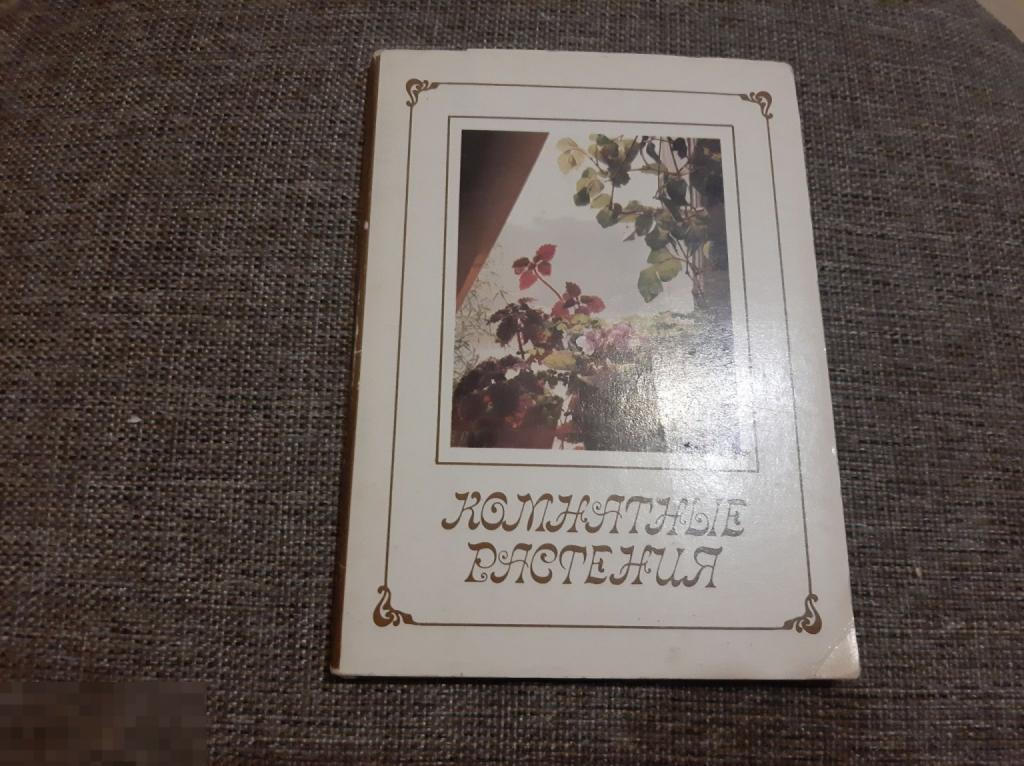 Набор открыток Комнатные растения (170)