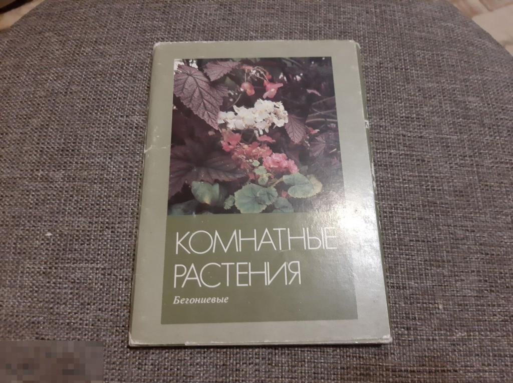 Набор открыток Комнатные растения (169)