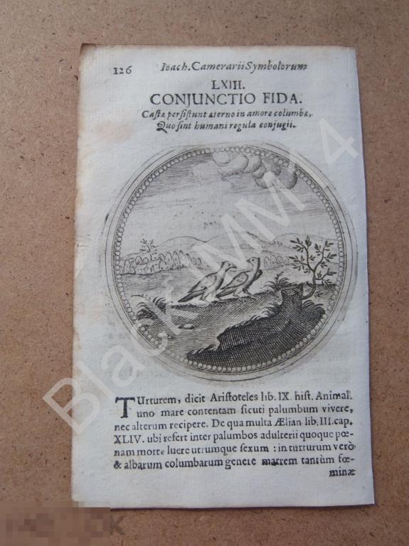 1677 Гравюра медь Камерарий Латынь Изречение Символы Птицы Голуби Верный союз