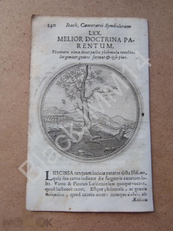 1677 Гравюра медь Камерарий Латынь Изречение Символы Птица Мать Птенцы лучшее воспитание родителей