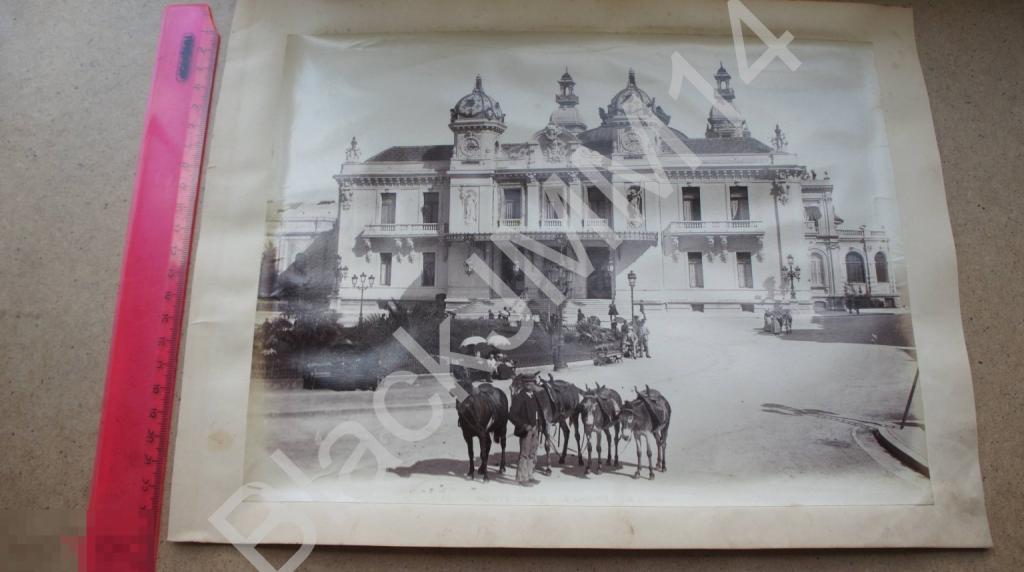 До 1900 г. Фотография Фото Монте-Карло Казино Ослики
