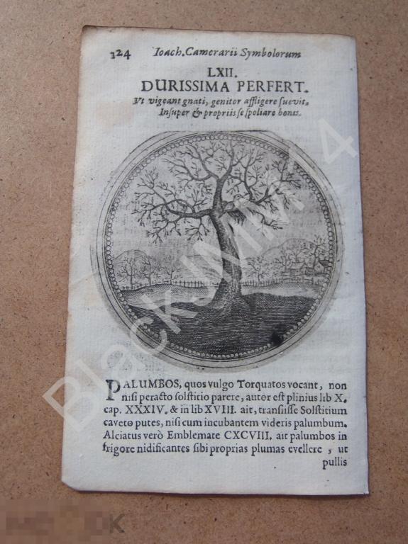 1677 Гравюра медь Камерарий Латынь Изречение Символы Птица Гнездо Выдерживает все невзгоды