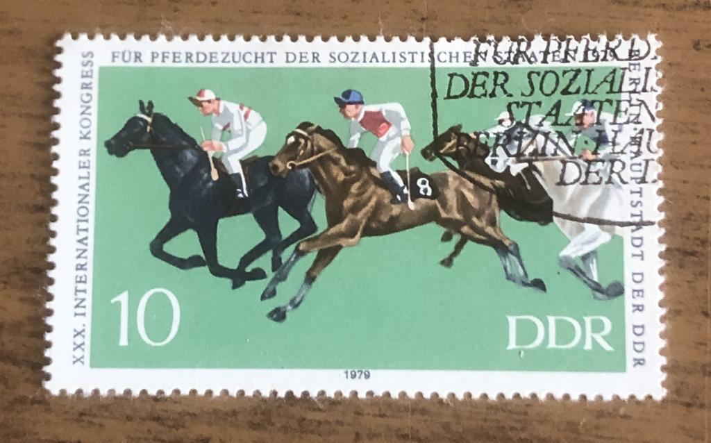 ГДР 1979 конный спорт