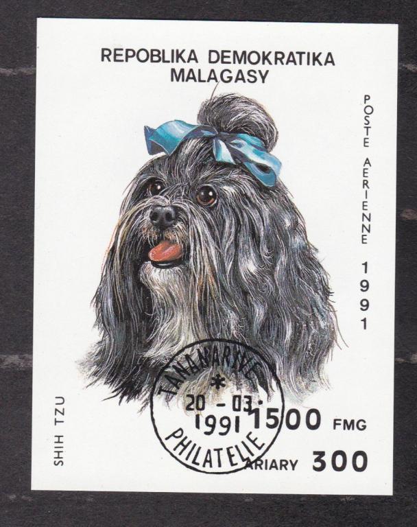Мадагаскар 1991 Фауна Собаки (4917)