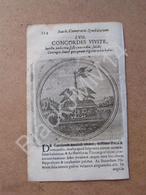 1677 Гравюра медь Камерарий Латынь Изречение Символы Птицы Жит в гармонии