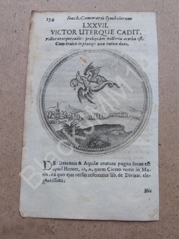 1677 Гравюра медь Камерарий Символы Эмбемы Латынь Изречение Победитель падает Дракон и Тигр