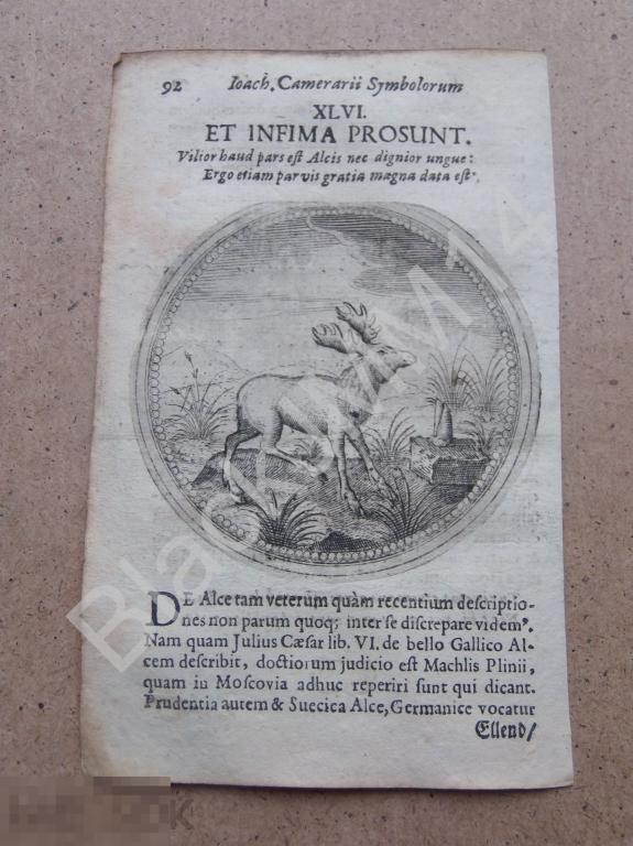1677 Гравюра медь Камерарий Символы Эмбемы Латынь Изречение И самые низкие прибыльны Лось