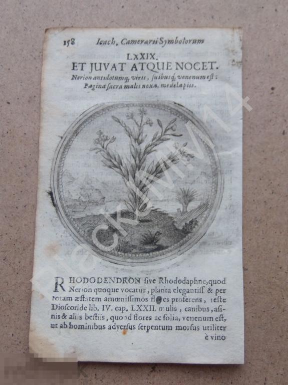 1677 Гравюра медь Камерарий Символы Эмблемы Латынь Изречение И помогает и вредит