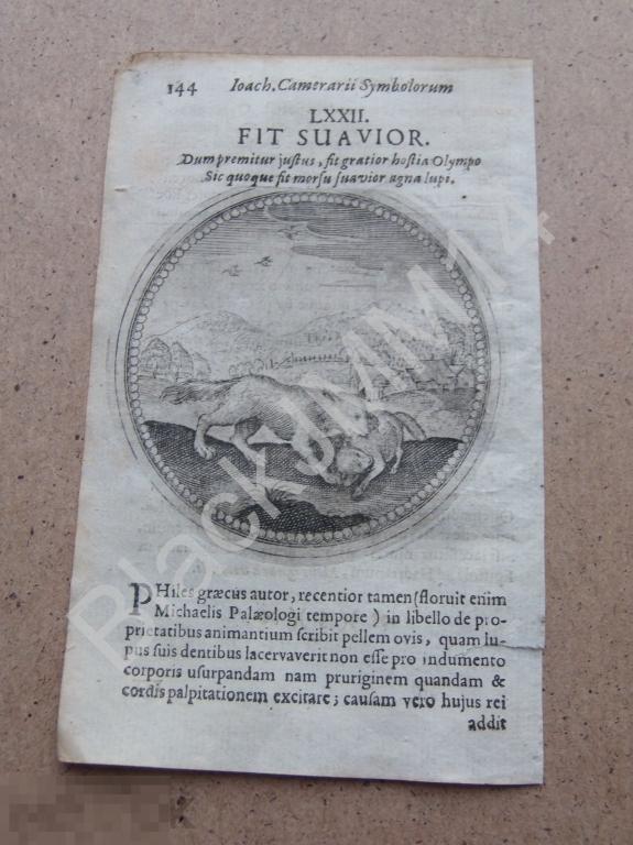 1677 Гравюра медь Камерарий Символы Эмбемы Латынь Становится слаще Волк с добычей