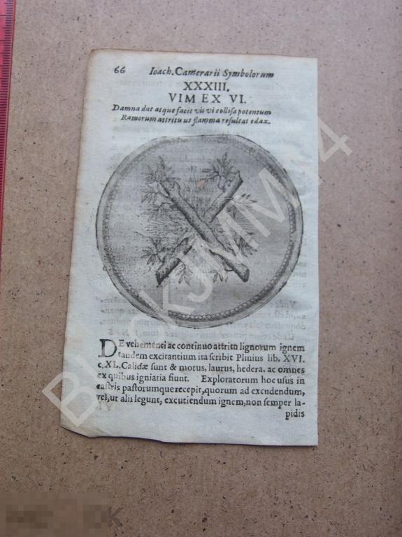 1677 Гравюра медь Камерарий Символы Эмбемы Латынь Изречение Сила от Скрещенные ветви