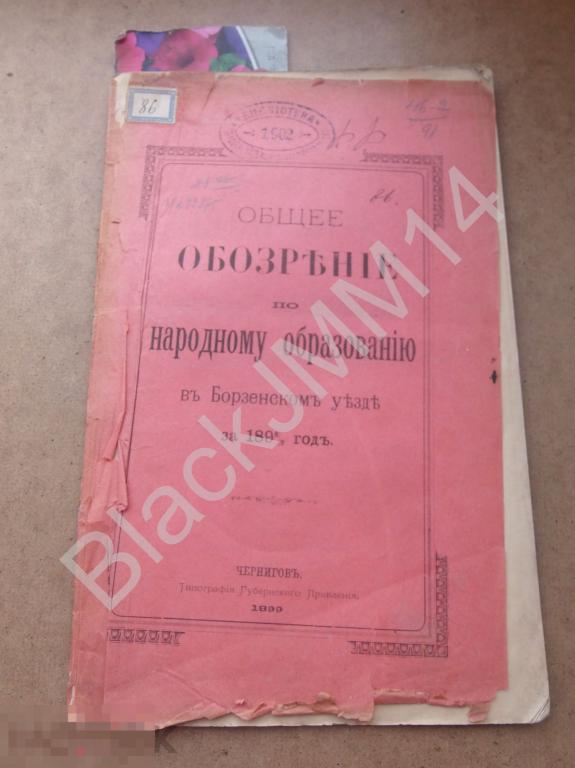 1899 г. Чернигов Общее обозрение по народному образованию в Борзенском уезде