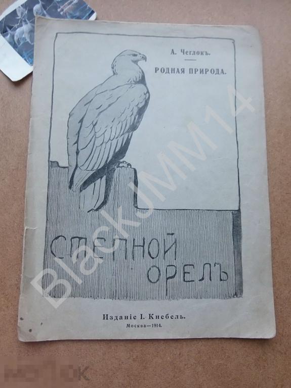 1914 г. А. Чеглок Родная природа Степной орел