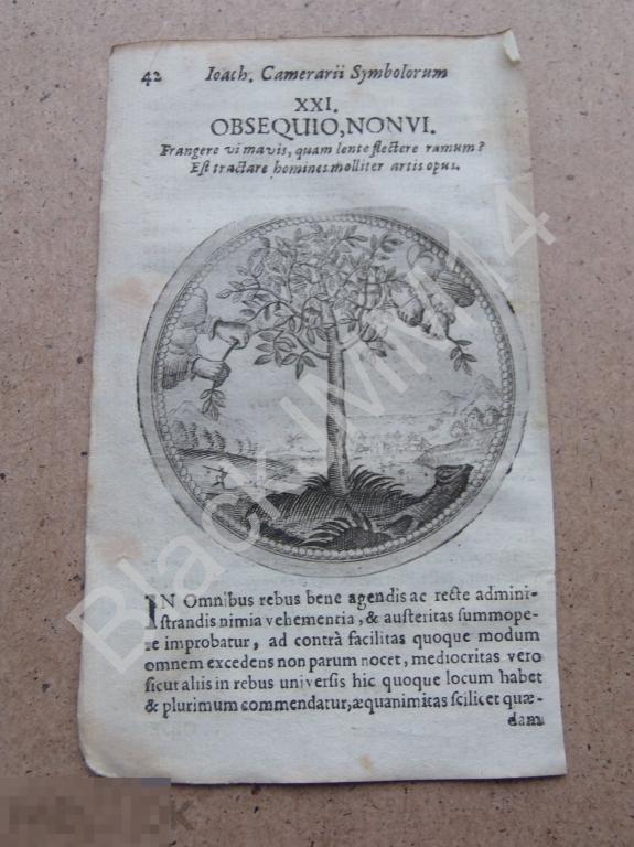 1677 Гравюра медь Камерарий Символы Эмбемы Латынь Повинуйся Руки Дерево