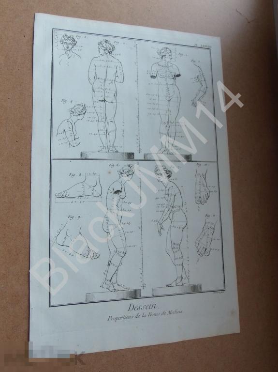 1763 г. Гравюра на меди Дени Дидро Искусство Рисунок Женщина обнаженная Венера Медицейская